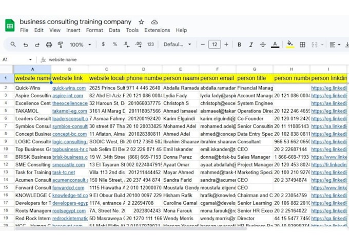 do targeted b2b lead generation and build email listing